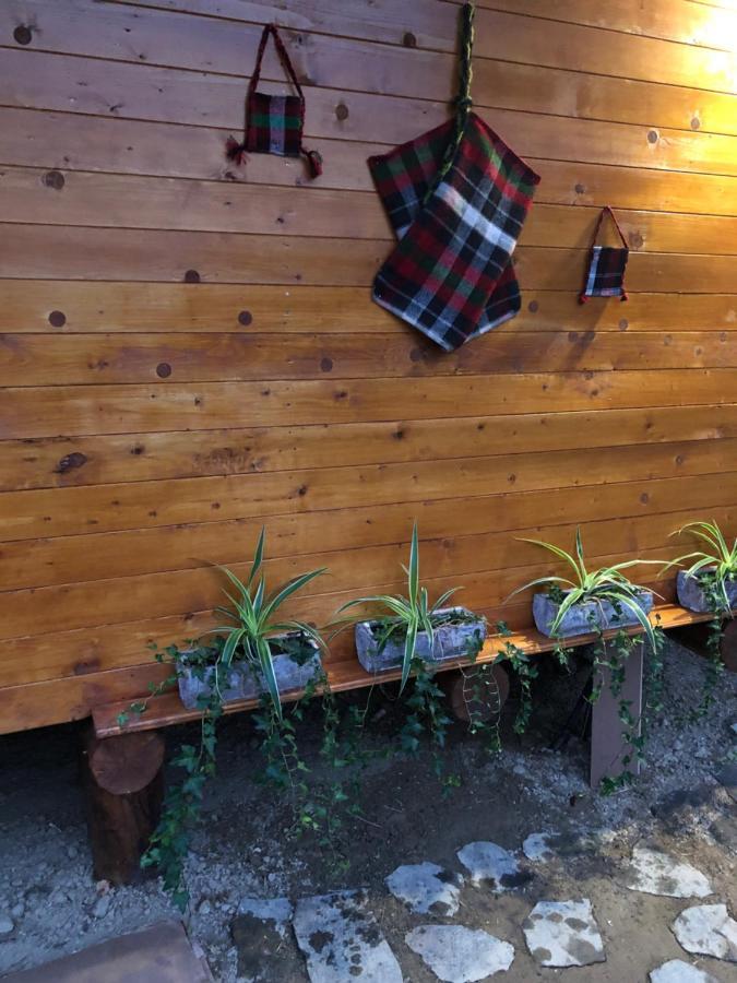 Domeniul Horj Casa Din Deal Moisei Εξωτερικό φωτογραφία