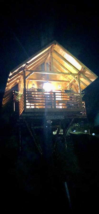 Domeniul Horj Casa Din Deal Moisei Εξωτερικό φωτογραφία